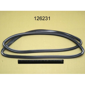 Lainox ЗИП Lainox 126231