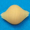 Матрица латунная для аппарата макаронных изделий серии GT, (D63,5мм), conchiglie (ракушки), 28мм